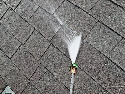 Growing Roof and Gutter Cleaning Business