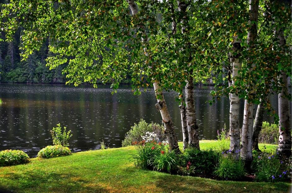 Turnkey Lake Management Biz with Growth & Transition Support